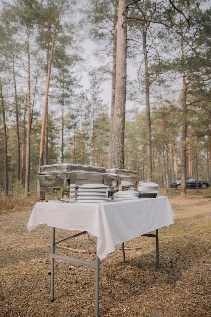 Elegant buffet table set up in a serene forest, perfect for outdoor events and nature gatherings.